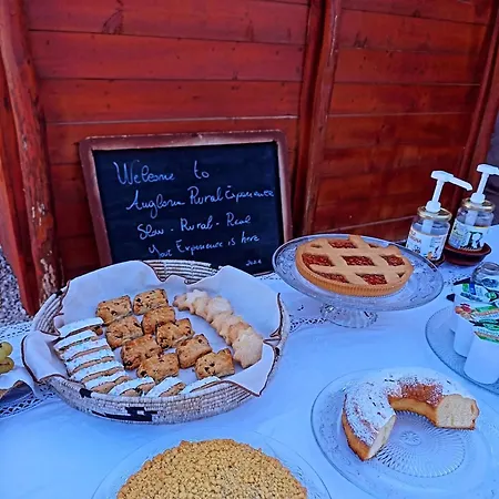Pasare Glamping_anglonaruralexperience 럭셔리텐트 *